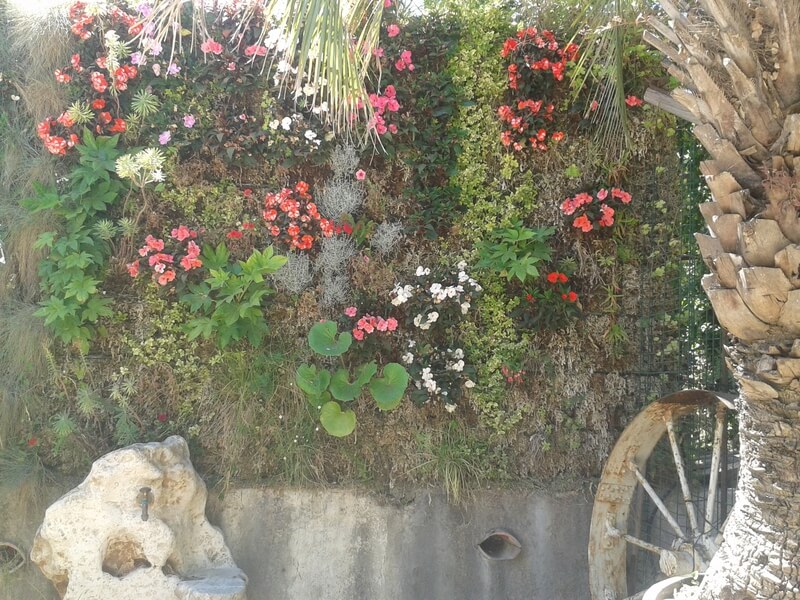 Mur végétal utilisé comme brise vue