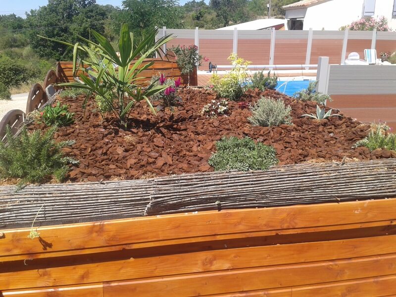 Toit végétalisé sur un local technique de piscine